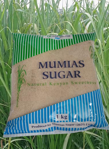 i kg sugar